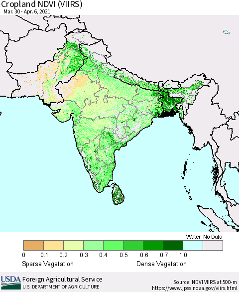 Southern Asia Cropland NDVI (VIIRS) Thematic Map For 4/1/2021 - 4/10/2021