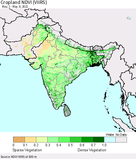 Southern Asia Cropland NDVI (VIIRS) Thematic Map For 5/1/2021 - 5/8/2021