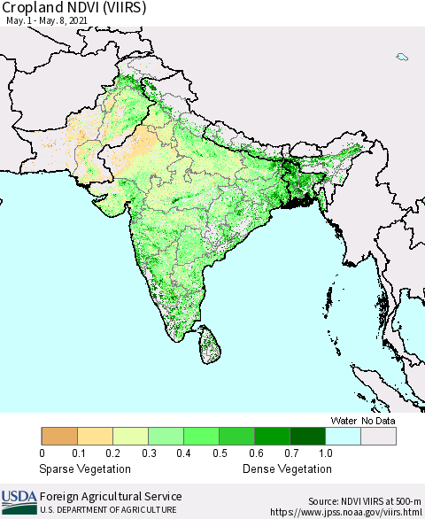 Southern Asia Cropland NDVI (VIIRS) Thematic Map For 5/1/2021 - 5/10/2021