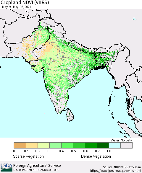 Southern Asia Cropland NDVI (VIIRS) Thematic Map For 5/11/2021 - 5/20/2021
