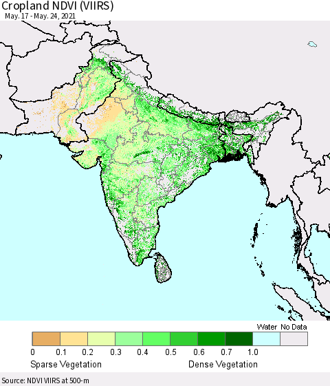 Southern Asia Cropland NDVI (VIIRS) Thematic Map For 5/17/2021 - 5/24/2021