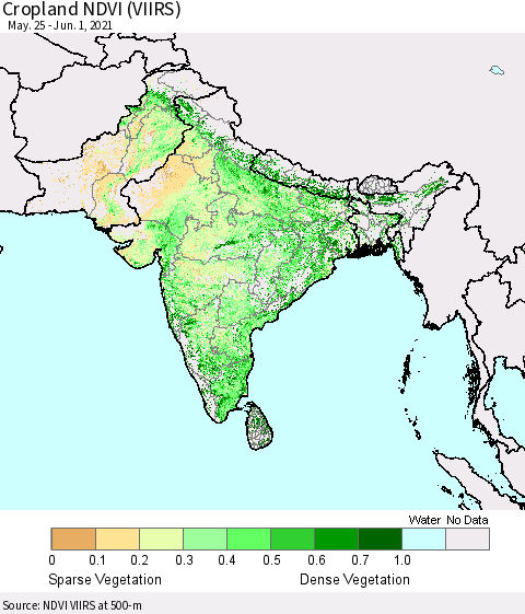 Southern Asia Cropland NDVI (VIIRS) Thematic Map For 5/25/2021 - 6/1/2021