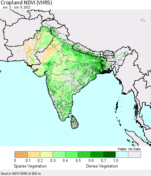 Southern Asia Cropland NDVI (VIIRS) Thematic Map For 6/2/2021 - 6/9/2021