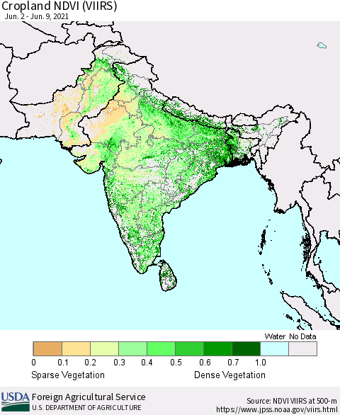 Southern Asia Cropland NDVI (VIIRS) Thematic Map For 6/1/2021 - 6/10/2021