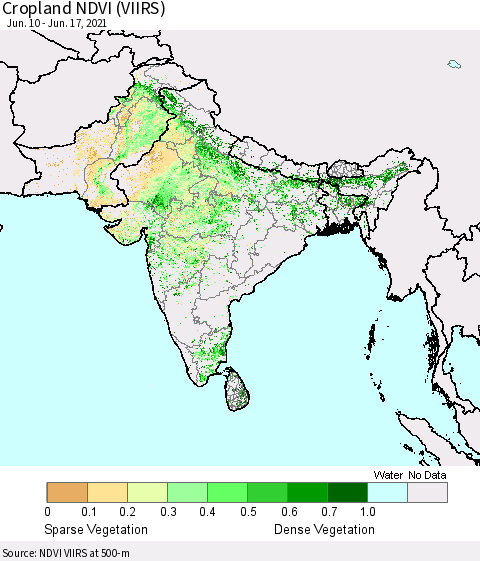 Southern Asia Cropland NDVI (VIIRS) Thematic Map For 6/10/2021 - 6/17/2021