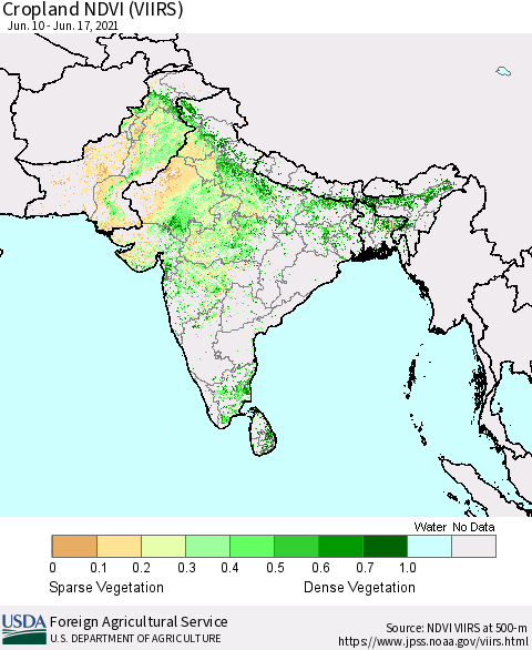 Southern Asia Cropland NDVI (VIIRS) Thematic Map For 6/11/2021 - 6/20/2021
