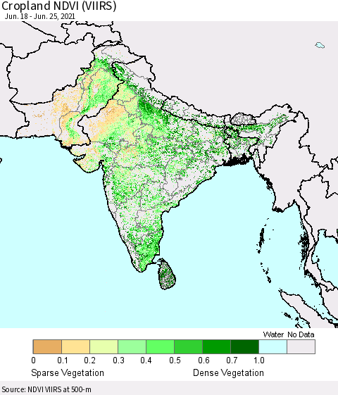 Southern Asia Cropland NDVI (VIIRS) Thematic Map For 6/18/2021 - 6/25/2021