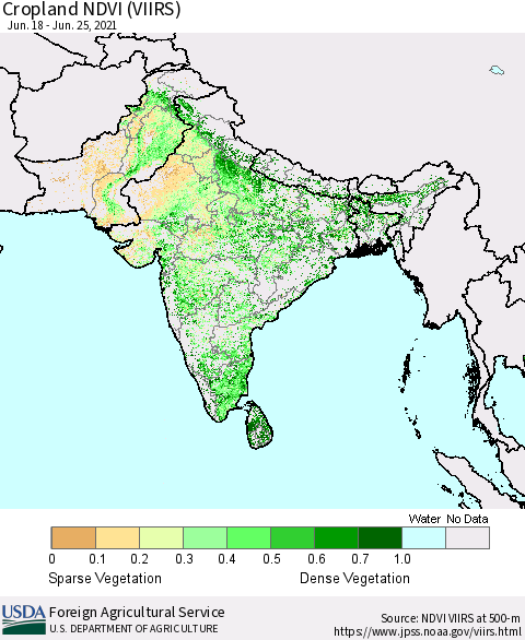 Southern Asia Cropland NDVI (VIIRS) Thematic Map For 6/21/2021 - 6/30/2021