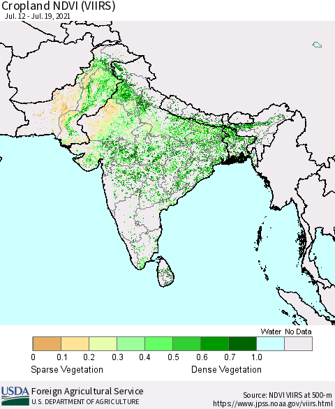 Southern Asia Cropland NDVI (VIIRS) Thematic Map For 7/11/2021 - 7/20/2021