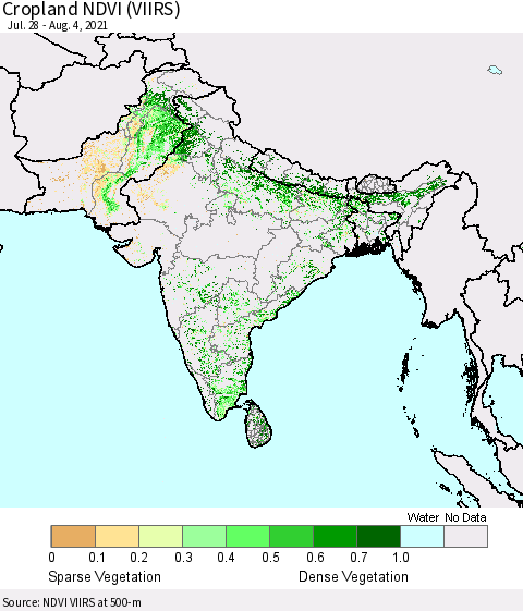 Southern Asia Cropland NDVI (VIIRS) Thematic Map For 7/28/2021 - 8/4/2021