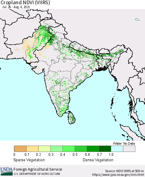 Southern Asia Cropland NDVI (VIIRS) Thematic Map For 8/1/2021 - 8/10/2021