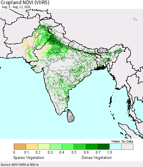 Southern Asia Cropland NDVI (VIIRS) Thematic Map For 8/5/2021 - 8/12/2021
