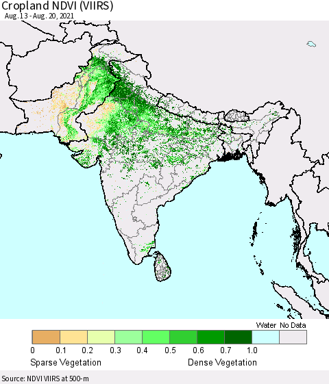 Southern Asia Cropland NDVI (VIIRS) Thematic Map For 8/11/2021 - 8/20/2021