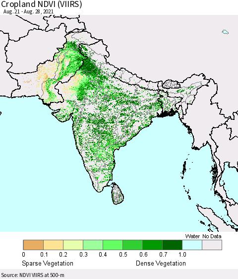 Southern Asia Cropland NDVI (VIIRS) Thematic Map For 8/21/2021 - 8/28/2021