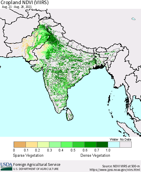 Southern Asia Cropland NDVI (VIIRS) Thematic Map For 8/21/2021 - 8/31/2021
