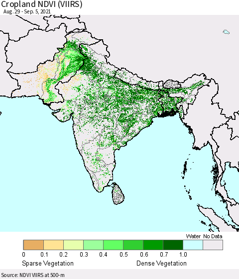Southern Asia Cropland NDVI (VIIRS) Thematic Map For 8/29/2021 - 9/5/2021
