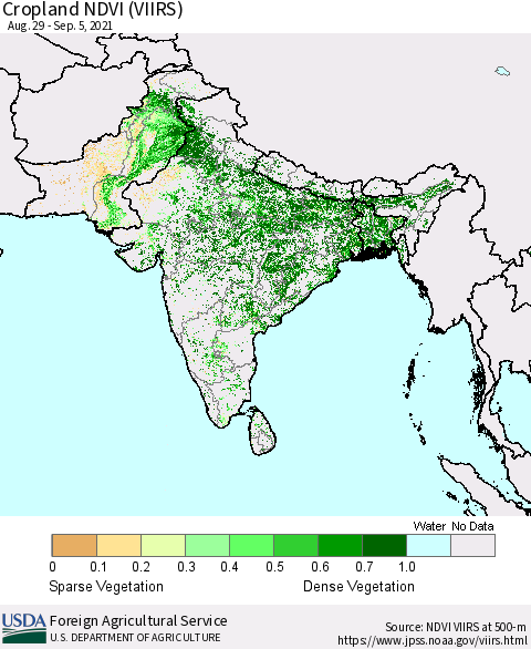 Southern Asia Cropland NDVI (VIIRS) Thematic Map For 9/1/2021 - 9/10/2021