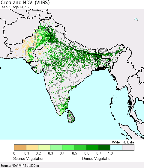 Southern Asia Cropland NDVI (VIIRS) Thematic Map For 9/6/2021 - 9/13/2021