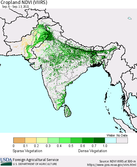 Southern Asia Cropland NDVI (VIIRS) Thematic Map For 9/11/2021 - 9/20/2021