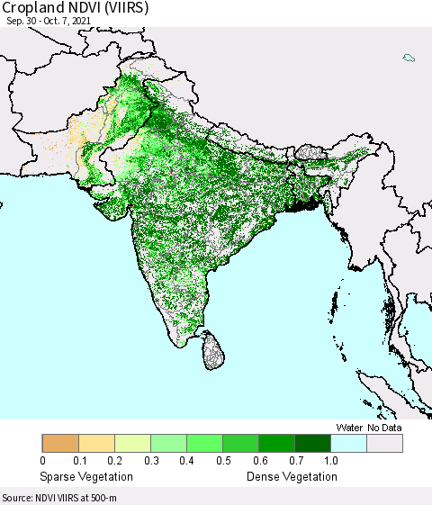 Southern Asia Cropland NDVI (VIIRS) Thematic Map For 9/30/2021 - 10/7/2021