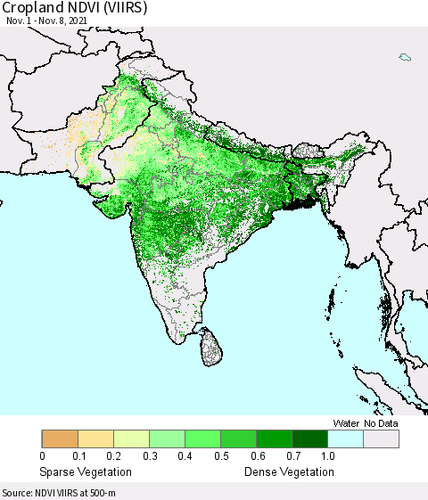 Southern Asia Cropland NDVI (VIIRS) Thematic Map For 11/1/2021 - 11/8/2021