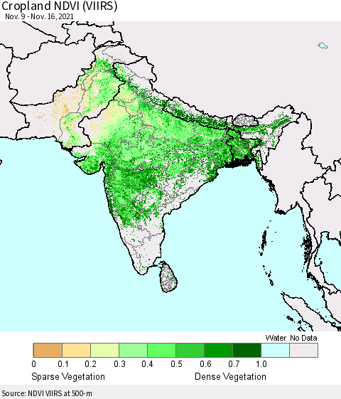 Southern Asia Cropland NDVI (VIIRS) Thematic Map For 11/9/2021 - 11/16/2021