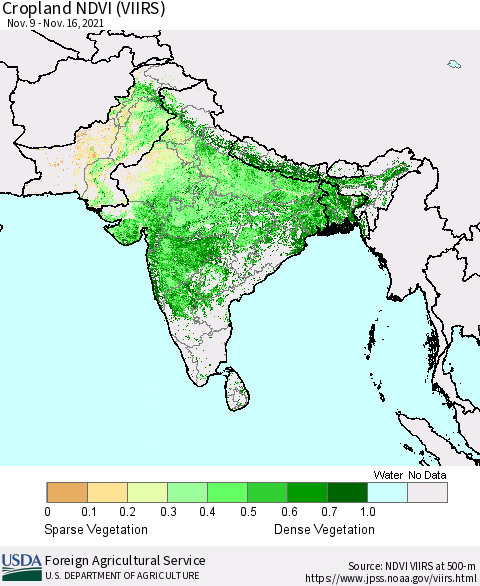 Southern Asia Cropland NDVI (VIIRS) Thematic Map For 11/11/2021 - 11/20/2021