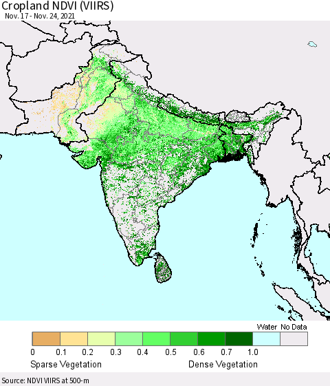 Southern Asia Cropland NDVI (VIIRS) Thematic Map For 11/17/2021 - 11/24/2021