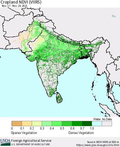 Southern Asia Cropland NDVI (VIIRS) Thematic Map For 11/21/2021 - 11/30/2021
