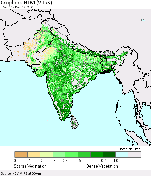 Southern Asia Cropland NDVI (VIIRS) Thematic Map For 12/11/2021 - 12/18/2021