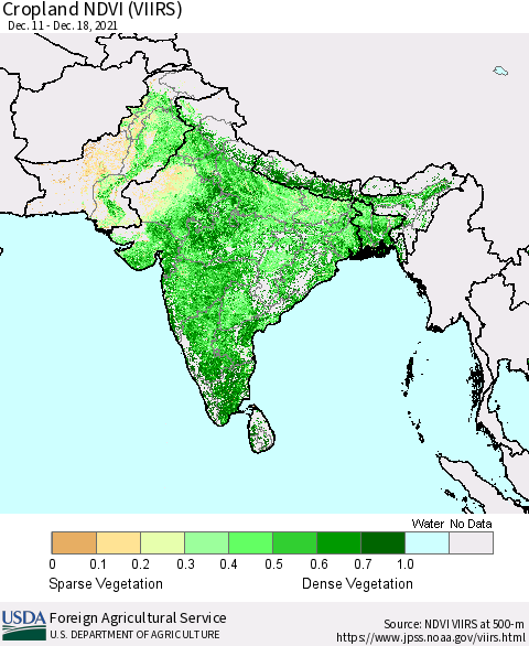 Southern Asia Cropland NDVI (VIIRS) Thematic Map For 12/11/2021 - 12/20/2021
