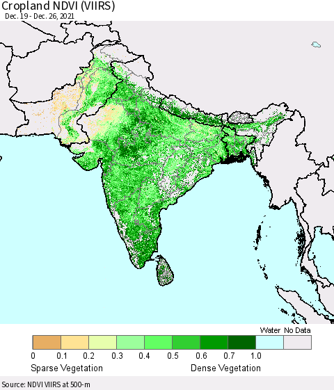 Southern Asia Cropland NDVI (VIIRS) Thematic Map For 12/19/2021 - 12/26/2021