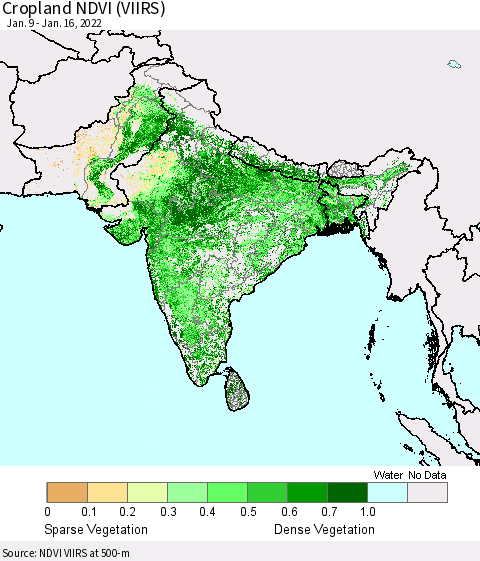 Southern Asia Cropland NDVI (VIIRS) Thematic Map For 1/9/2022 - 1/16/2022