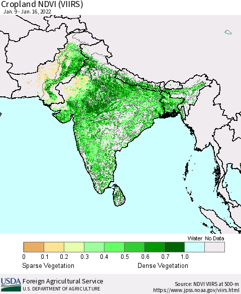 Southern Asia Cropland NDVI (VIIRS) Thematic Map For 1/11/2022 - 1/20/2022