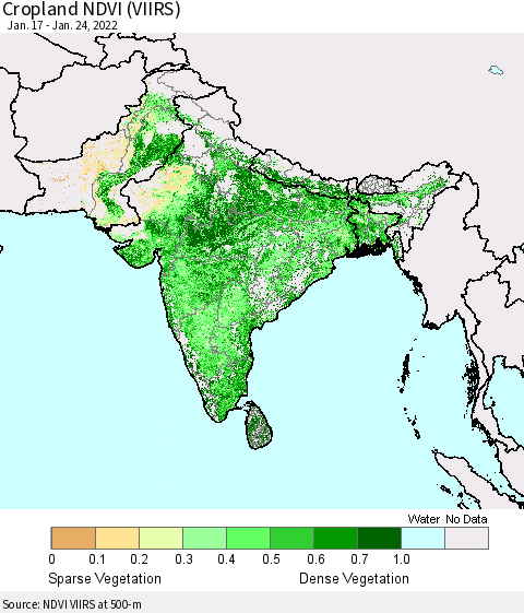Southern Asia Cropland NDVI (VIIRS) Thematic Map For 1/17/2022 - 1/24/2022
