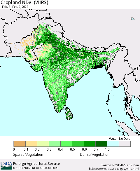 Southern Asia Cropland NDVI (VIIRS) Thematic Map For 2/1/2022 - 2/10/2022
