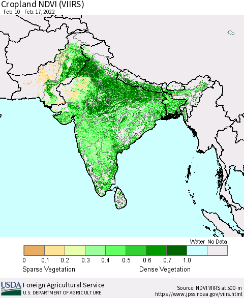 Southern Asia Cropland NDVI (VIIRS) Thematic Map For 2/11/2022 - 2/20/2022