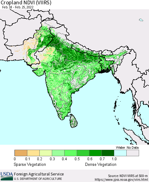 Southern Asia Cropland NDVI (VIIRS) Thematic Map For 2/21/2022 - 2/28/2022
