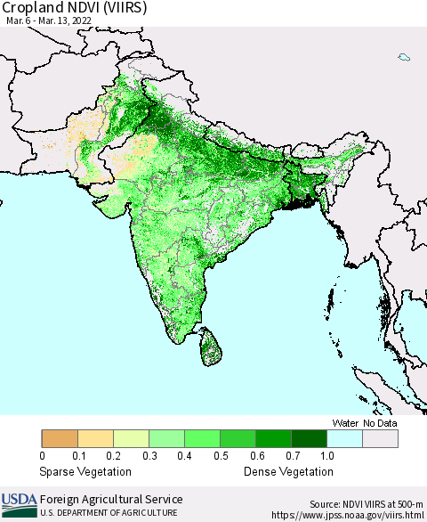 Southern Asia Cropland NDVI (VIIRS) Thematic Map For 3/11/2022 - 3/20/2022