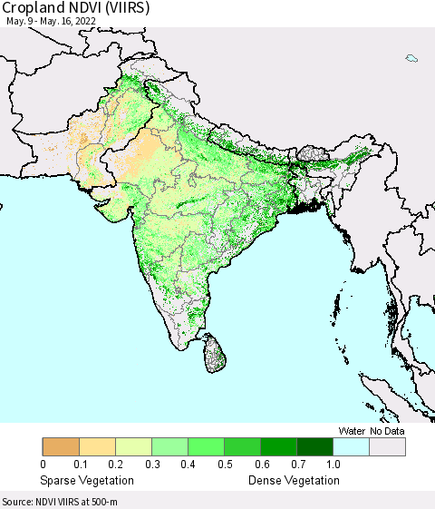 Southern Asia Cropland NDVI (VIIRS) Thematic Map For 5/9/2022 - 5/16/2022