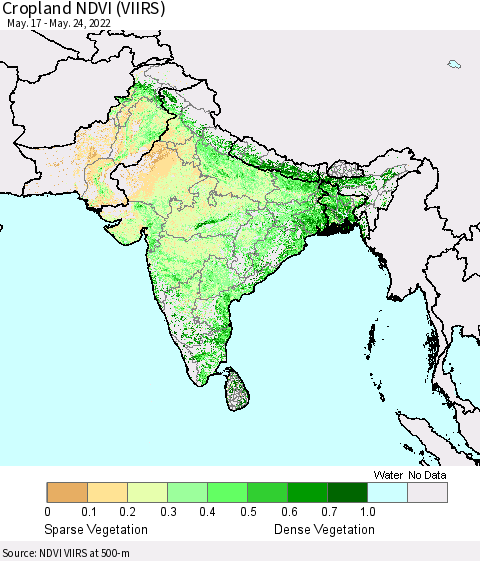 Southern Asia Cropland NDVI (VIIRS) Thematic Map For 5/17/2022 - 5/24/2022
