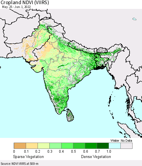 Southern Asia Cropland NDVI (VIIRS) Thematic Map For 5/25/2022 - 6/1/2022