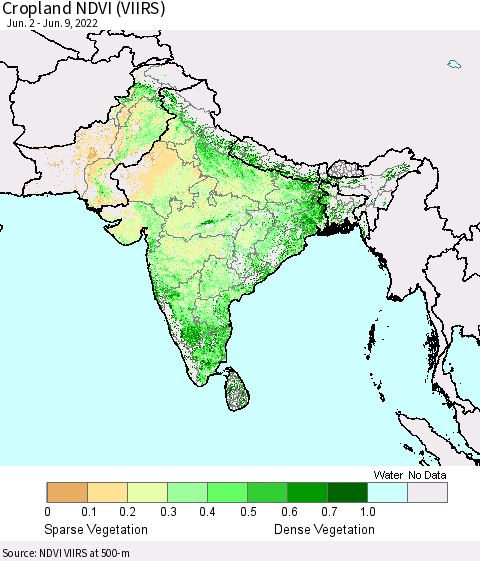 Southern Asia Cropland NDVI (VIIRS) Thematic Map For 6/2/2022 - 6/9/2022