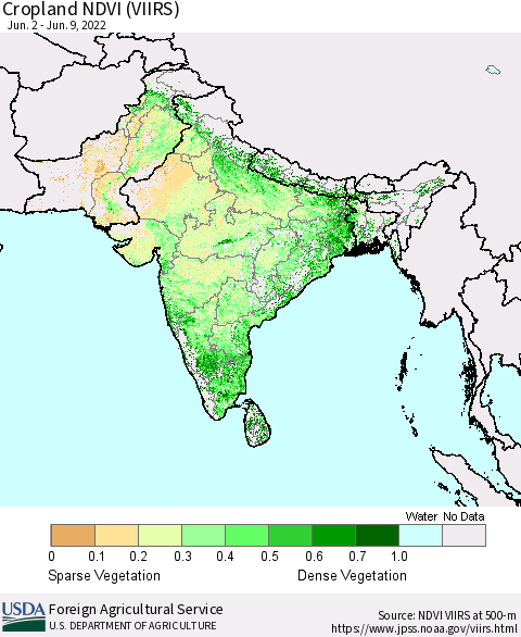 Southern Asia Cropland NDVI (VIIRS) Thematic Map For 6/1/2022 - 6/10/2022