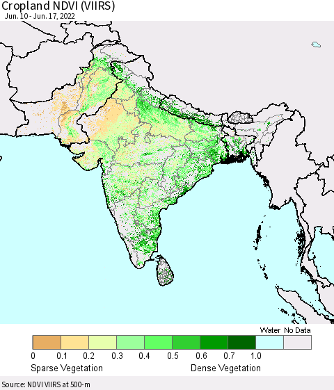 Southern Asia Cropland NDVI (VIIRS) Thematic Map For 6/10/2022 - 6/17/2022