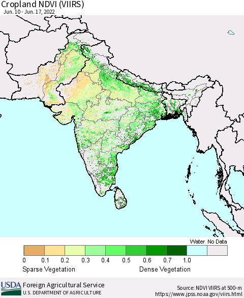 Southern Asia Cropland NDVI (VIIRS) Thematic Map For 6/11/2022 - 6/20/2022