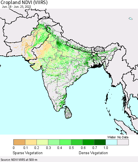 Southern Asia Cropland NDVI (VIIRS) Thematic Map For 6/18/2022 - 6/25/2022