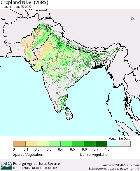 Southern Asia Cropland NDVI (VIIRS) Thematic Map For 6/21/2022 - 6/30/2022
