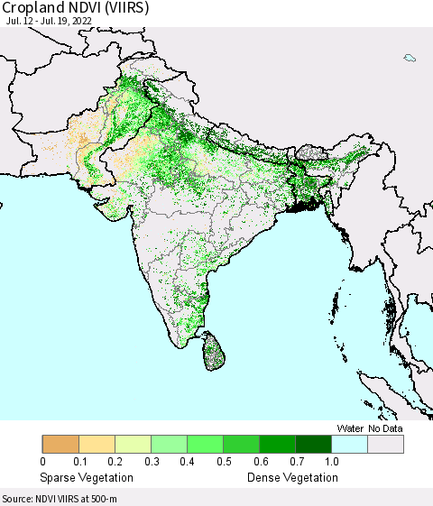 Southern Asia Cropland NDVI (VIIRS) Thematic Map For 7/12/2022 - 7/19/2022