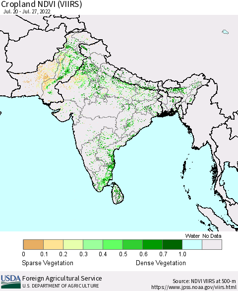 Southern Asia Cropland NDVI (VIIRS) Thematic Map For 7/21/2022 - 7/31/2022